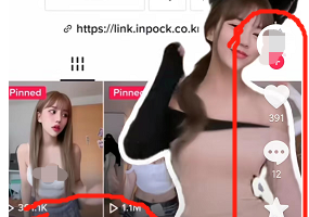 Tiktok美女混剪视频：一单29，日赚500块，冷门不起眼很多人看不起的副业