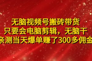 无脑视频号搬砖带货，只要会电脑剪辑，亲测当天爆单赚了300多佣金