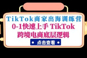 [跨境电商] TikTok商家出海训练营：0-1快速上手 TikTok跨境电商底层逻辑