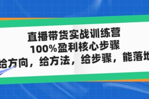 [新自媒体] 直播带货实战训练营：100%盈利核心步骤，给方向，给方法，给步骤，能落地