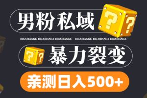 男粉私域项目：亲测男粉裂变日入500+（视频教程）