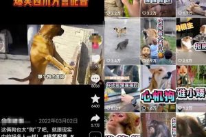 方言搞笑配音项目思路，小白都能轻松上手的简单副业！无私分享给你！