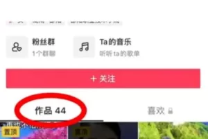 抖音最新涨粉玩法思路，溶图号快速涨粉1000+