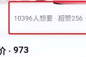 闲鱼前男友二手礼物项目：日赚200+ 新手就可以做