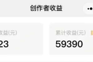 无门槛人人可做副业项目，视频搬砖收益，实测一天2000+！