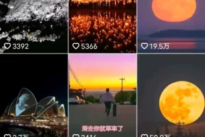 [网赚项目] 无脑搬砖，收益500+