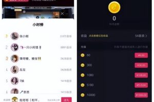 抖音直播音浪项目，偏门玩法，日入过千