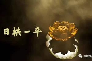 蓝海虚拟项目，操作简单，日入200+，实操分享（申论模板）