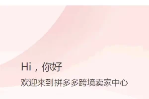 [电商教程] 拼多多跨境平台Temu开放入驻