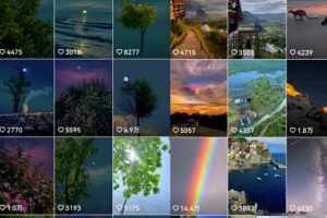 抖音最新项目玩法分享，美丽的风景也能实现日入1000+！