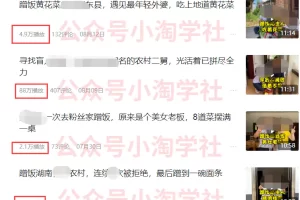 分享做蹭饭领域及vlog领域的中视频项目月收益有多少