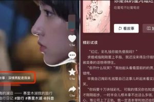 抖音故事新项目 : 小说推文新玩法