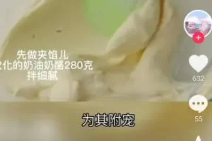 小说推文项目玩法解析，附授权渠道！