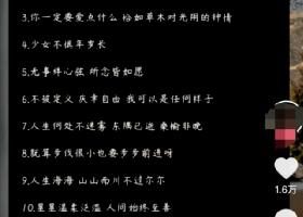 分享三个抖音里的搞钱野路子