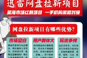 迅雷网盘拉新项目，通过短视频轻松引流，每月搞几个W