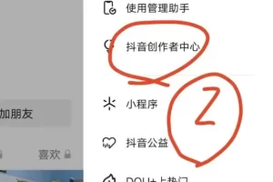 9.9一单，爆单项目，收钱到手软