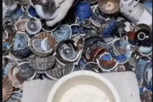 拿捏人性的操盘高手，赚钱跟玩似的！