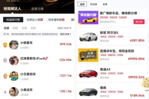 懂车帝搬砖零门槛想项目思路，稳定日入上千，适合新手小白操作！