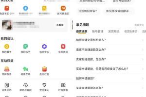 闲鱼爆款宝贝被盗图的解决思路，深入了解项目本质和操作