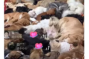 揭秘个月入10000的暴利赚钱野路子