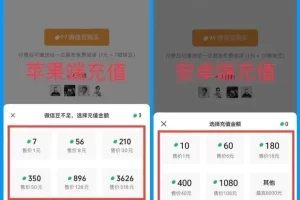 线上副业兼职：微信豆充值，信息差项目，简单轻松，一天200+