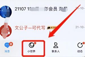 QQ小世界，红利期副业项目，收益很可观，可放大操作