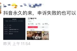 一天几百上千，这个项目我看行