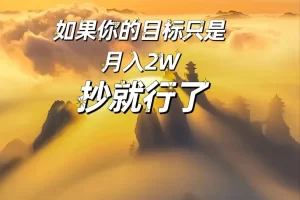 如果你的目标只是月入2W，抄就行了