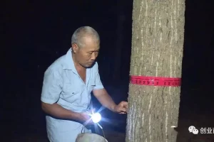 农村发家致富好生意，1人可干月入几万，一年纯收入30多万！