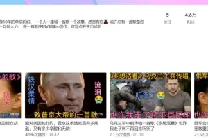 被人遗忘的土味视频搞钱玩法，每天最少几百收入