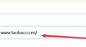 细分领域项目玩法，直接让你从小白蜕变成大咖