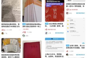 日撸300+思路！卖项目资料玩法详细教程！干货满满分享给你！