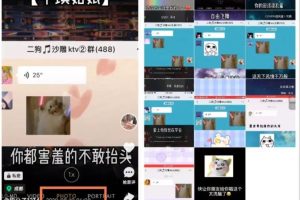 抖音唱歌群自动变现项目，利润一天大几百