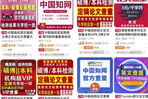 刚需市场“论文查重”副业思路，掌握方法轻松月入过万，玩法无私分享给你