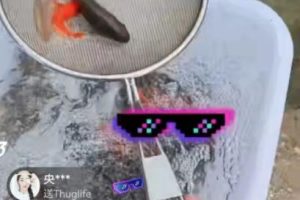 抖音云放生直播项目变现玩法！