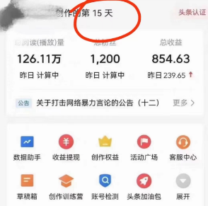 全网首发头条野路子AI搬砖玩法，纪实类超级蓝海项目，三天起号单日收益500+