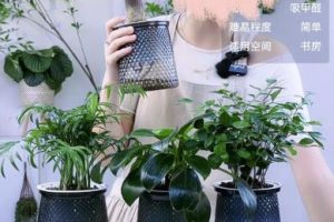 小众细分类目，一个月卖货超1000万！