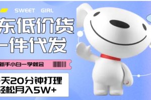 每天20分钟打理京东低价货，一件代发-轻松月入5W＋