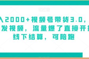 日入2000+视频号带货3.0，无敌代发视频，流量爆了直接开播，线下结算，可陪跑
