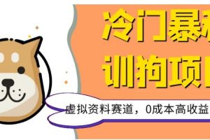 冷门暴利的训狗项目，虚拟资料赛道，0成本高收益，一单99
