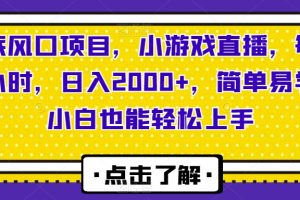 年底风口项目，小游戏直播，每天两小时，日入2000+，简单易学，小白也能轻松上手