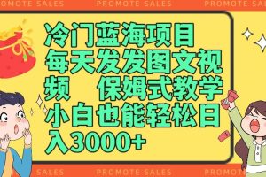 冷门蓝海项目，每天发发图文视频，保姆式教学，小白也能轻松日入3000+