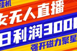 快手挂机，美女无人直播，强开磁力聚星小铃铛，日入3000+