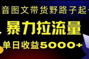 抖音图文带货暴力起号，单日收益5000+，野路子玩法，简单易上手，一部手机即可