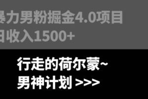 暴力男粉掘金4.0项目，不违规不封号，无脑复制，单人操作日入1000+