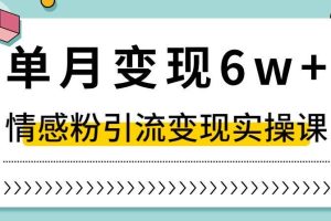 单月变现6W+，抖音情感粉引流变现实操课，小白可做，轻松上手，独家赛道