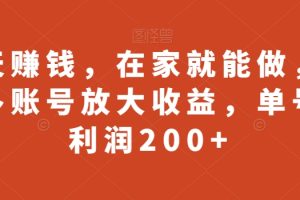 聊天赚钱，在家就能做，可以多账号放大收益，单号日利润200+