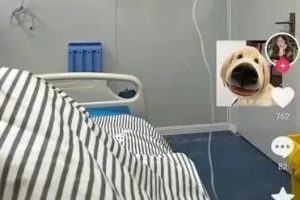 两个精准引流方法（适合各平台操作）