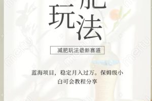 减肥流量主新玩法，轻松月入1W，可矩阵操作收入翻倍