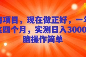蓝海项目，现在做正好，一年就做这4个月，实测日入3000+，无脑简单操作